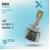 X D50 D2S/R 5000K 12В (2 шт.)
